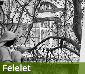 Felelet